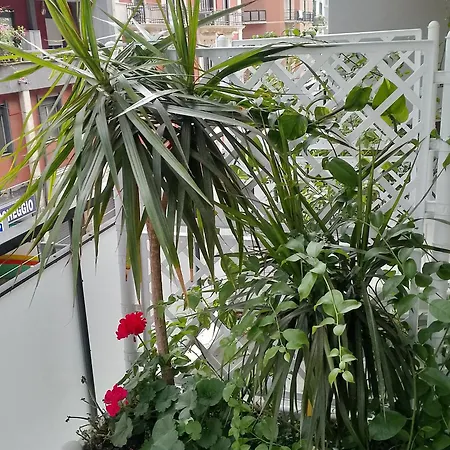 Pensión Casa Ra Bari