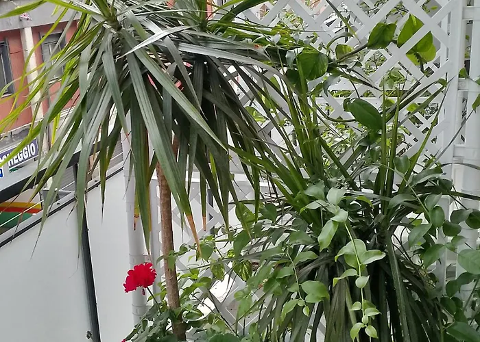 Pensjonat Casara Bari